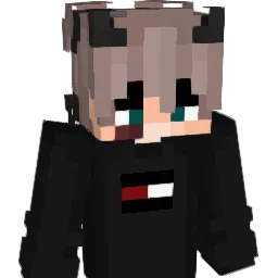 namminwoo0339 Minecraft avatar bust