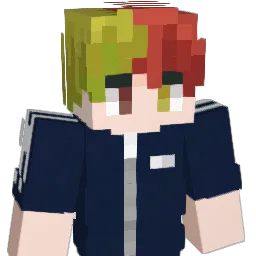 namsam_ Minecraft avatar bust