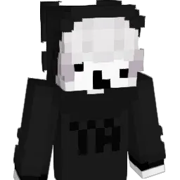 nano_on704 Minecraft avatar bust