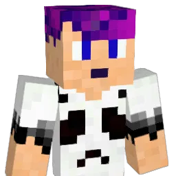 nao0_0 Minecraft avatar bust