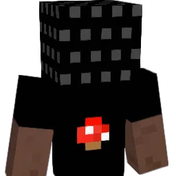 naopecar Minecraft avatar bust