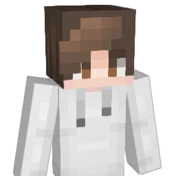 narkiCZ Minecraft avatar bust