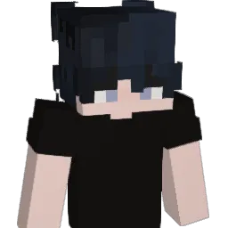naswaii Minecraft avatar bust