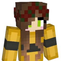 nata855's Minecraft skin