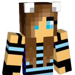 nate290 Minecraft avatar bust