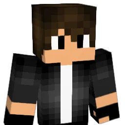 natedawg201 Minecraft avatar bust