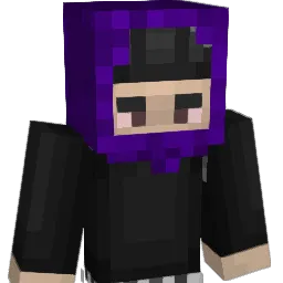 natetheknight11 Minecraft avatar bust