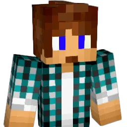 nathangamerbr15 Minecraft avatar bust