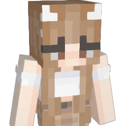 nationaliseit Minecraft avatar bust