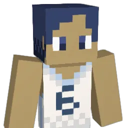 natonff11 Minecraft avatar bust
