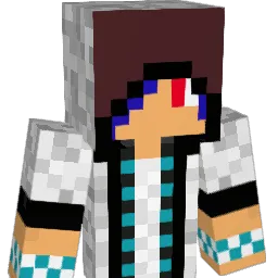 nattesok Minecraft avatar bust