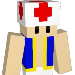naturnic05 Minecraft avatar bust