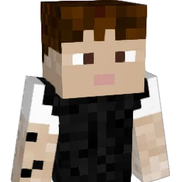 naufraga Minecraft avatar bust