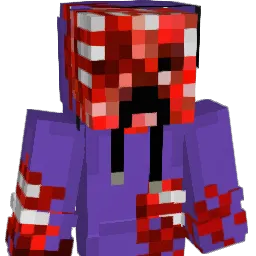 naxic_ Minecraft avatar bust