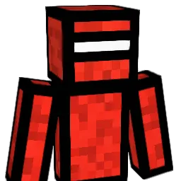 nbhasin's Minecraft skin