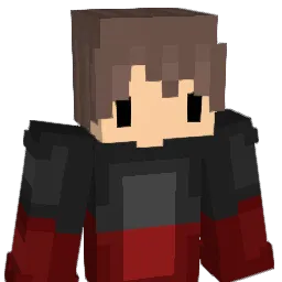 ncity Minecraft avatar bust