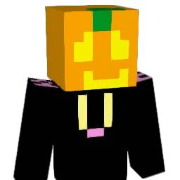 ncusgood Minecraft avatar bust