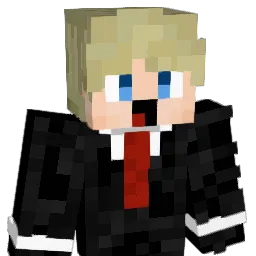 ndih Minecraft avatar bust