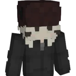 ndla Minecraft avatar bust