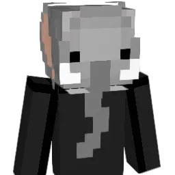 ndogndog11 Minecraft avatar bust