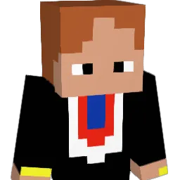 nebenw Minecraft avatar bust