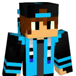 nebur30 Minecraft avatar bust