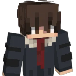 nedajsefico