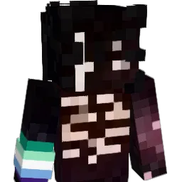 neddstool's Minecraft skin