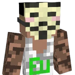nedschroef Minecraft avatar bust