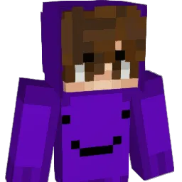 nee_nern's Minecraft skin