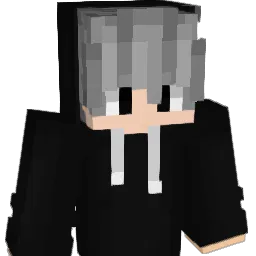 needzaname Minecraft avatar bust