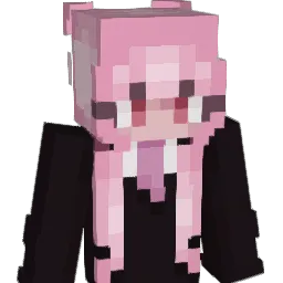 neeqr Minecraft avatar bust