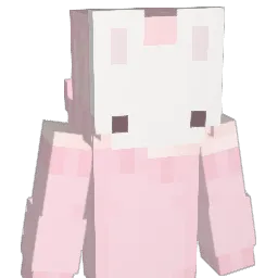 neetch_ Minecraft avatar bust