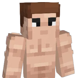 nefor123001 Minecraft avatar bust