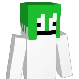 negi0404 Minecraft avatar bust