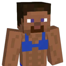negrakias2 Minecraft avatar bust
