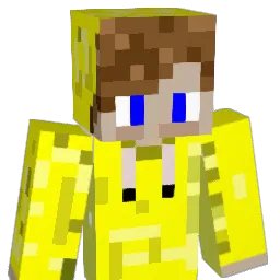 nek__sio's Minecraft skin