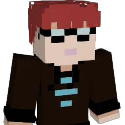 nelsonidiot
