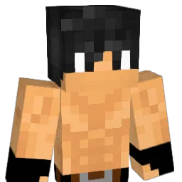 nemywings Minecraft avatar bust