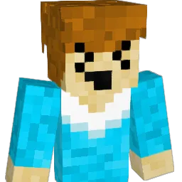 neo6791 Minecraft avatar bust