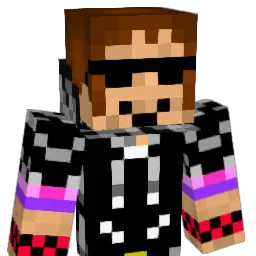 neo891 Minecraft avatar bust
