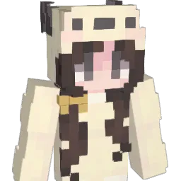 neon_0617 Minecraft avatar bust