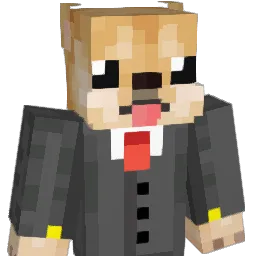 neony1243 Minecraft avatar bust