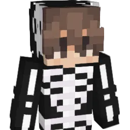 Minecraft-Avatar von neoxpl: Büste