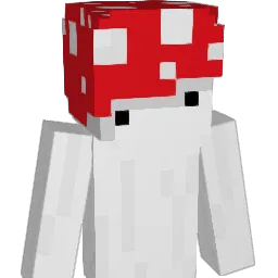 nerotygrys Minecraft avatar bust