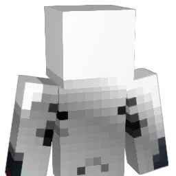 nes_17 Minecraft avatar bust