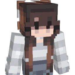 netflixus Minecraft avatar bust