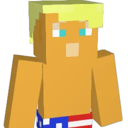 netherman456 Minecraft avatar bust