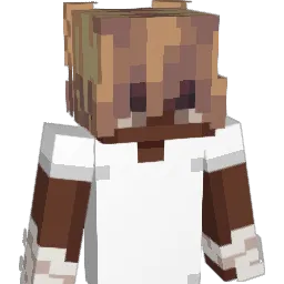 nettork Minecraft avatar bust