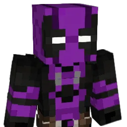 neuforteilsqc Minecraft avatar bust